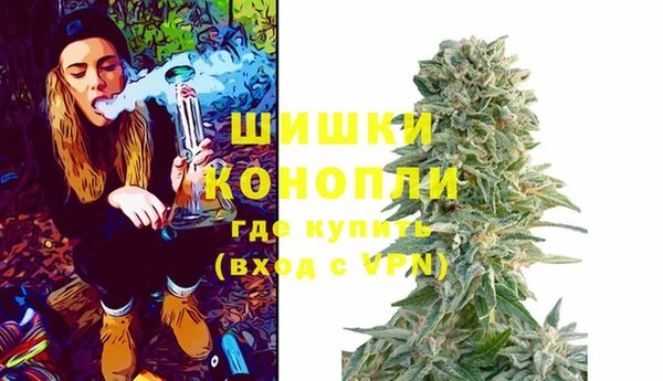 трава Беломорск